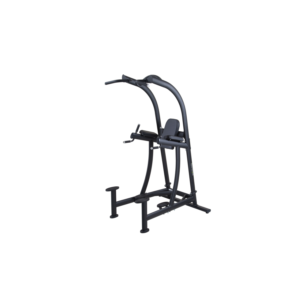 SportsArt A994 VKR Chin Dip Station