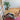 BenchK 111 Beech Wall Bars with Wooden Pull-Up Bar