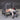 Muscle D Power Leverage V2 Flat / Decline Convergent Bench (PL-PV2-DCB)