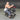 Muscle D Power Leverage V2 Biceps Curl / Preacher Curl (PL-PV2-BC)