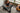 SportsArt E80C Elliptical image 4